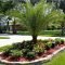 Cute Palm Gardening Ideas For Front Yard 53