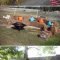 Incredible Autumn Decorating Ideas For Backyard 04