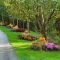 Incredible Autumn Decorating Ideas For Backyard 20