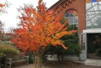 Incredible Autumn Decorating Ideas For Backyard 30