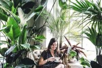 Magnificient Indoor Decorative Ideas With Plants 04
