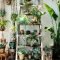 Magnificient Indoor Decorative Ideas With Plants 07