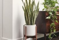 Magnificient Indoor Decorative Ideas With Plants 09