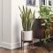 Magnificient Indoor Decorative Ideas With Plants 09