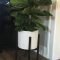 Magnificient Indoor Decorative Ideas With Plants 10