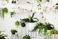 Magnificient Indoor Decorative Ideas With Plants 11