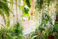 Magnificient Indoor Decorative Ideas With Plants 13