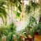 Magnificient Indoor Decorative Ideas With Plants 13
