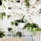 Magnificient Indoor Decorative Ideas With Plants 16
