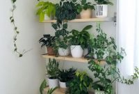 Magnificient Indoor Decorative Ideas With Plants 19
