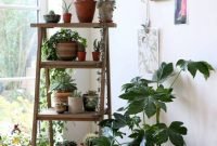 Magnificient Indoor Decorative Ideas With Plants 20