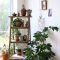 Magnificient Indoor Decorative Ideas With Plants 20
