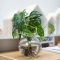 Magnificient Indoor Decorative Ideas With Plants 21