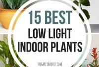 Magnificient Indoor Decorative Ideas With Plants 24