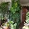 Magnificient Indoor Decorative Ideas With Plants 26
