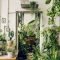 Magnificient Indoor Decorative Ideas With Plants 30