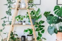 Magnificient Indoor Decorative Ideas With Plants 31