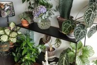 Magnificient Indoor Decorative Ideas With Plants 32