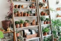 Magnificient Indoor Decorative Ideas With Plants 35