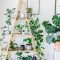 Magnificient Indoor Decorative Ideas With Plants 36