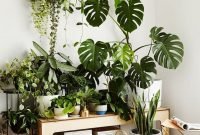Magnificient Indoor Decorative Ideas With Plants 38