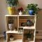 Magnificient Indoor Decorative Ideas With Plants 39