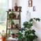 Magnificient Indoor Decorative Ideas With Plants 40