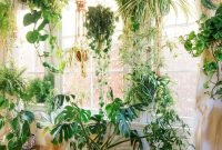 Magnificient Indoor Decorative Ideas With Plants 41
