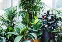Magnificient Indoor Decorative Ideas With Plants 44