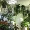 Magnificient Indoor Decorative Ideas With Plants 45