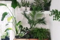 Magnificient Indoor Decorative Ideas With Plants 47