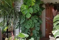 Magnificient Indoor Decorative Ideas With Plants 48