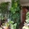 Magnificient Indoor Decorative Ideas With Plants 48