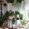 Magnificient Indoor Decorative Ideas With Plants 49