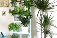 Magnificient Indoor Decorative Ideas With Plants 50