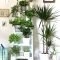 Magnificient Indoor Decorative Ideas With Plants 50