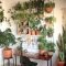 Magnificient Indoor Decorative Ideas With Plants 51