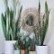 Magnificient Indoor Decorative Ideas With Plants 52