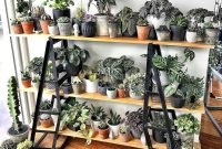 Magnificient Indoor Decorative Ideas With Plants 53