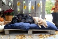 Comfy Diy Backyard Projects Ideas For Your Pets 36