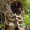 Captivating Treehouse Ideas For Children Playground 02