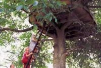 Captivating Treehouse Ideas For Children Playground 33
