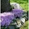 Newest Front Yard Landscaping Design Ideas To Try Now 43