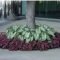 Adorable Flower Beds Ideas Around Trees To Beautify Your Yard 01