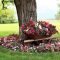 Adorable Flower Beds Ideas Around Trees To Beautify Your Yard 11