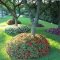 Adorable Flower Beds Ideas Around Trees To Beautify Your Yard 12