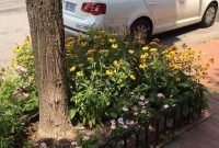 Adorable Flower Beds Ideas Around Trees To Beautify Your Yard 25
