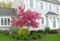 Adorable Flower Beds Ideas Around Trees To Beautify Your Yard 27