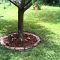 Adorable Flower Beds Ideas Around Trees To Beautify Your Yard 30