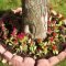 Adorable Flower Beds Ideas Around Trees To Beautify Your Yard 36